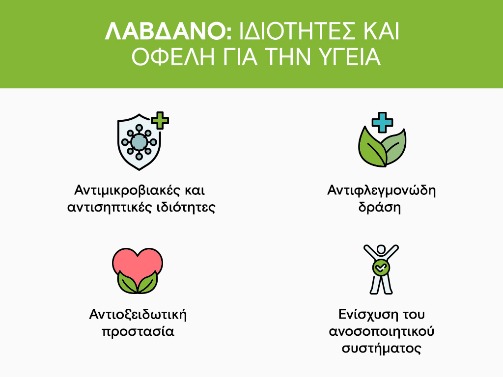 Λάβδανο: Ιδιότητες και οφέλη για την υγεία